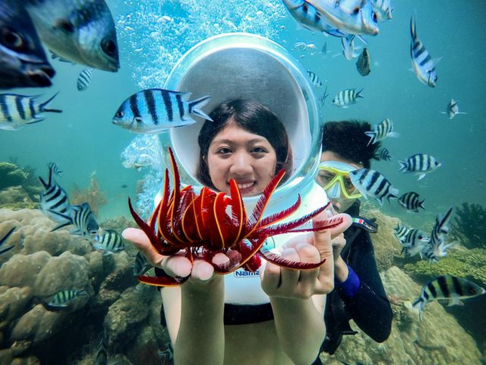 5 điểm ngắm san hô đẹp nhất Việt Nam, nhất định phải khám phá một lần trong đời - 2 5 điểm ngắm san hô đẹp nhất Việt Nam, nhất định phải khám phá một lần trong đời - 2