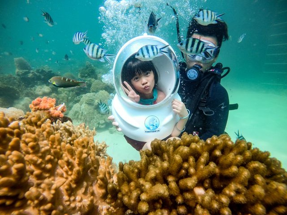 5 điểm ngắm san hô đẹp nhất Việt Nam, nhất định phải khám phá một lần trong đời - 3 5 điểm ngắm san hô đẹp nhất Việt Nam, nhất định phải khám phá một lần trong đời - 3