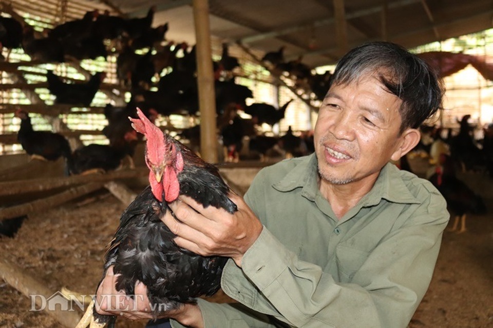Làm giàu khác người: Một nghề thì sống, đống nghề...thành tỷ phú - 1 Làm giàu khác người: Một nghề thì sống, đống nghề...thành tỷ phú - 1