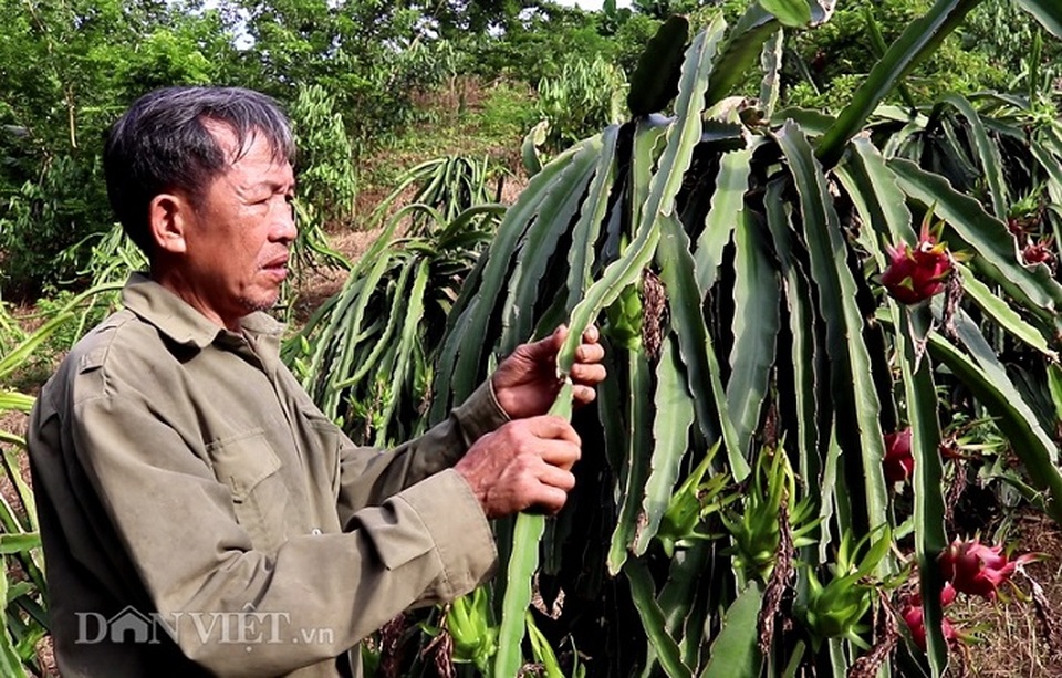 Làm giàu khác người: Một nghề thì sống, đống nghề...thành tỷ phú - 6 Làm giàu khác người: Một nghề thì sống, đống nghề...thành tỷ phú - 6
