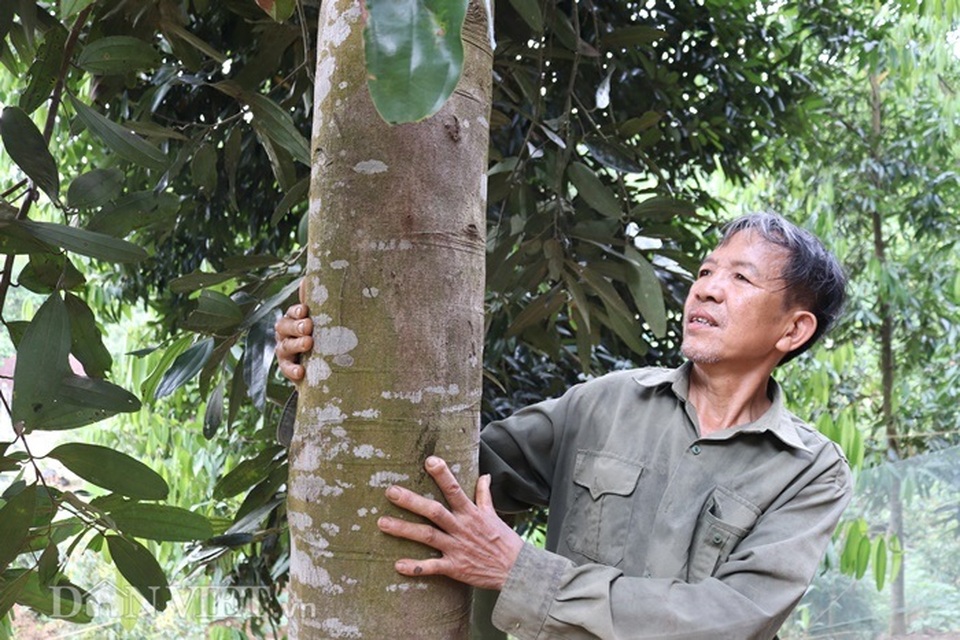 Làm giàu khác người: Một nghề thì sống, đống nghề...thành tỷ phú - 7 Làm giàu khác người: Một nghề thì sống, đống nghề...thành tỷ phú - 7