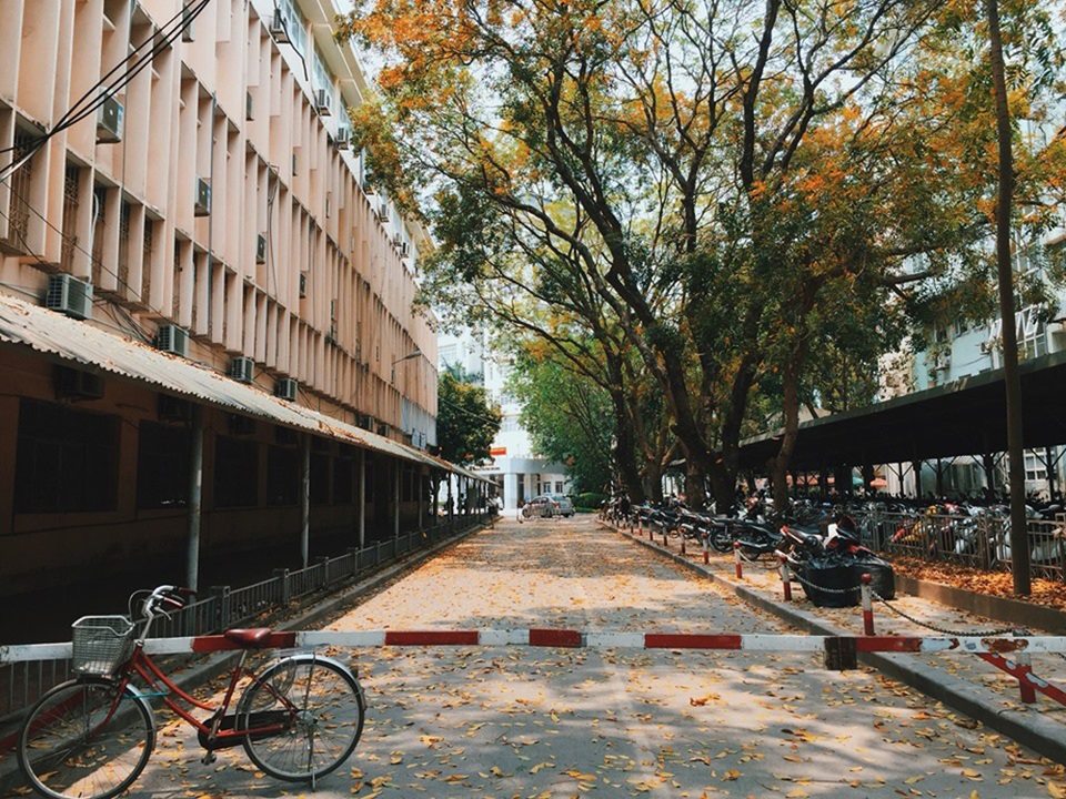 Ngắm ĐH Quốc gia Hà Nội đẹp nao lòng qua góc máy của chàng sinh viên 5 tốt - 8 Ngắm ĐH Quốc gia Hà Nội đẹp nao lòng qua góc máy của chàng sinh viên 5 tốt - 8