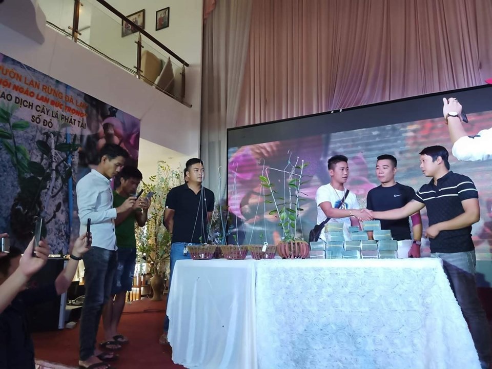 Tiết lộ “sốc” đằng sau những thương vụ mua bán giò lan bạc tỷ, gây xôn xao dư luận - 3 Tiết lộ “sốc” đằng sau những thương vụ mua bán giò lan bạc tỷ, gây xôn xao dư luận - 3