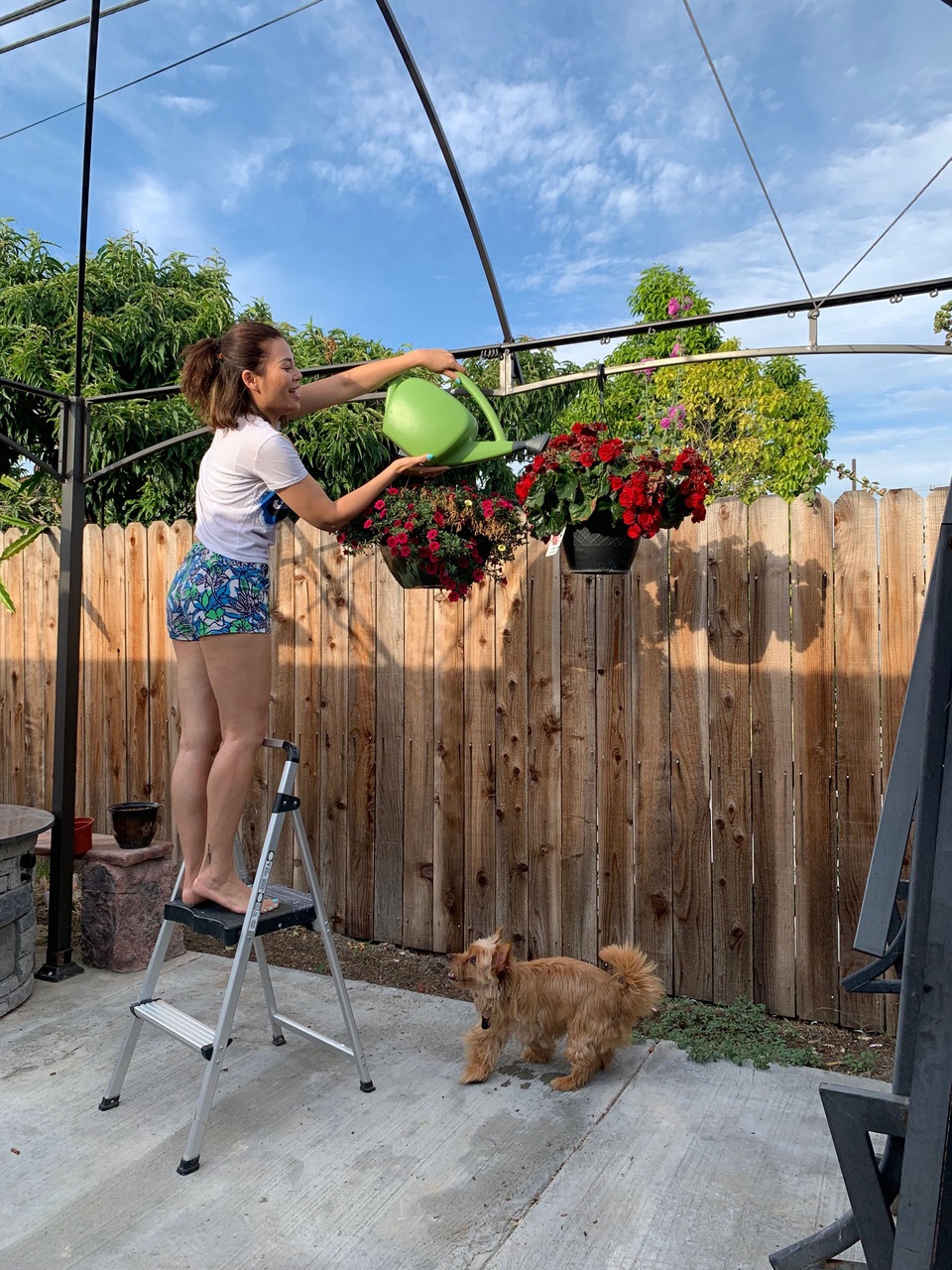 Ngọc Anh 3A: Cuộc sống giản dị của “bà nội trợ” sau ánh đèn sân khấu? - 3 Ngọc Anh 3A: Cuộc sống giản dị của “bà nội trợ” sau ánh đèn sân khấu? - 3