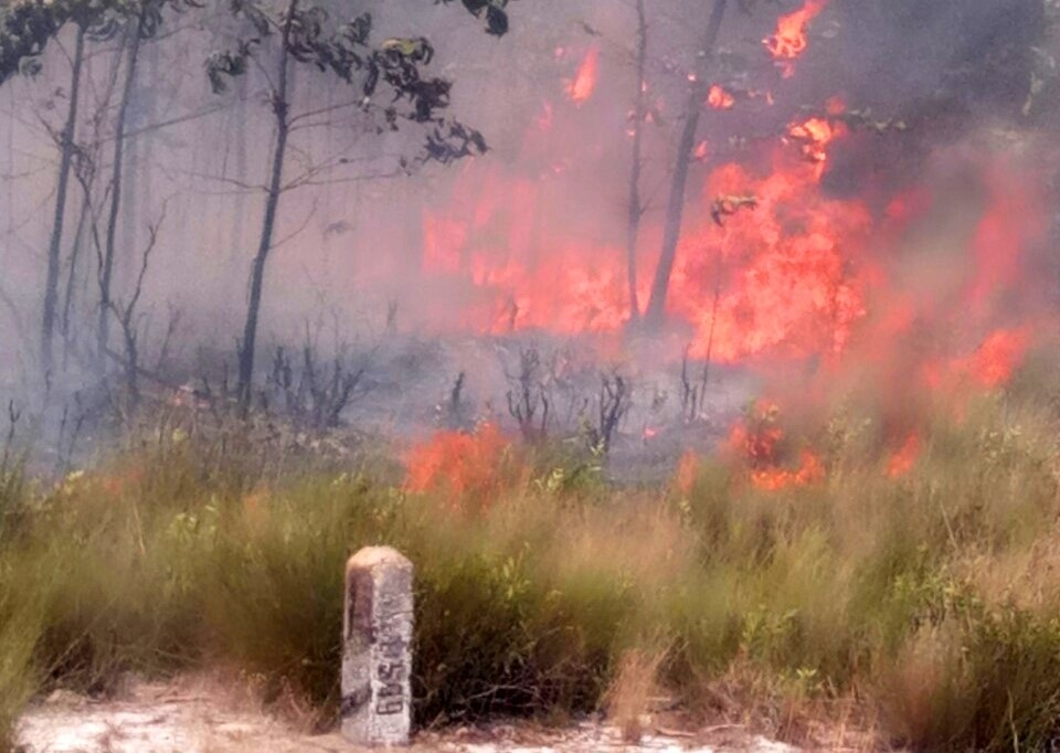 Cháy rừng lớn uy hiếp đường sắt Bắc - Nam - 3