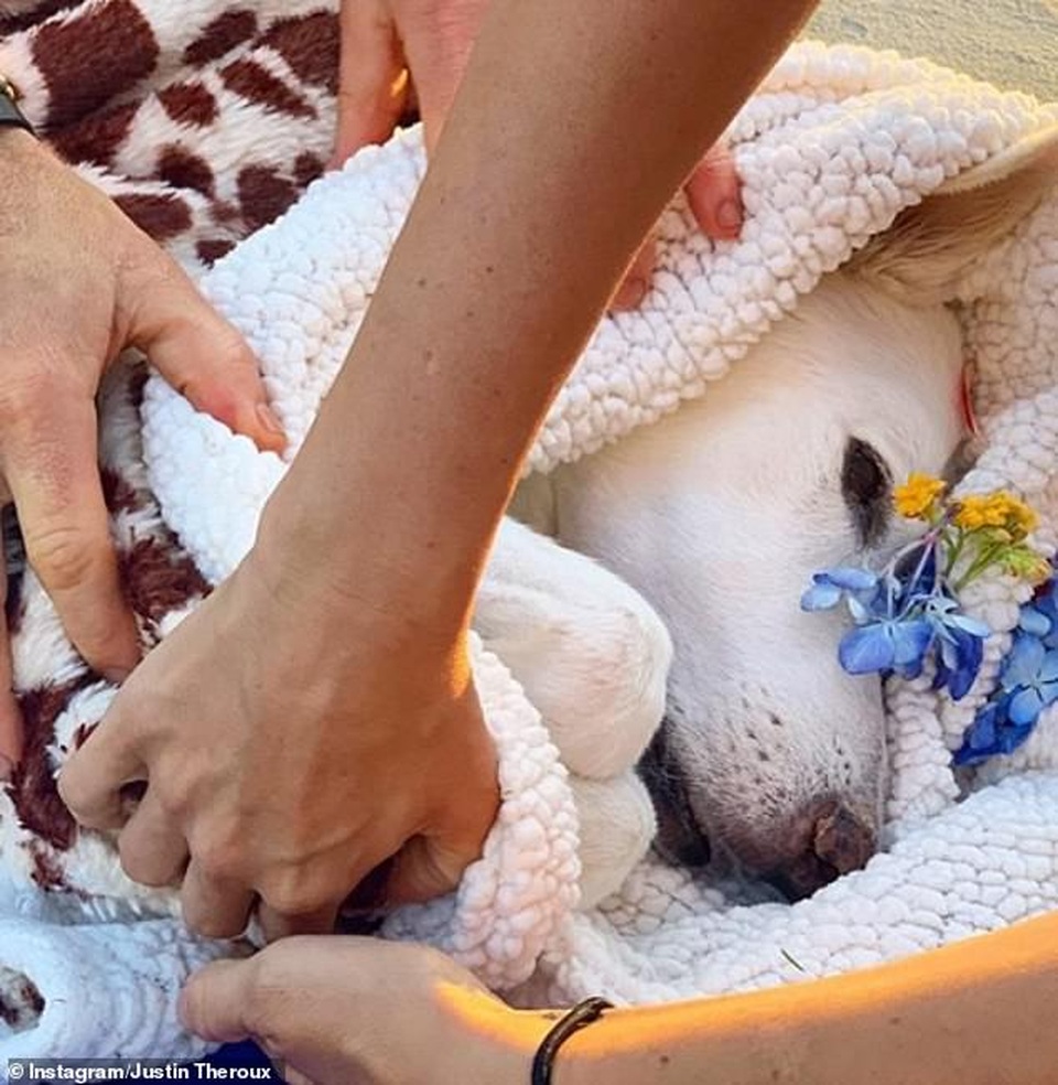 Jennifer Aniston và chồng cũ tái ngộ vì cún cưng - 6 Jennifer Aniston và chồng cũ tái ngộ vì cún cưng - 6