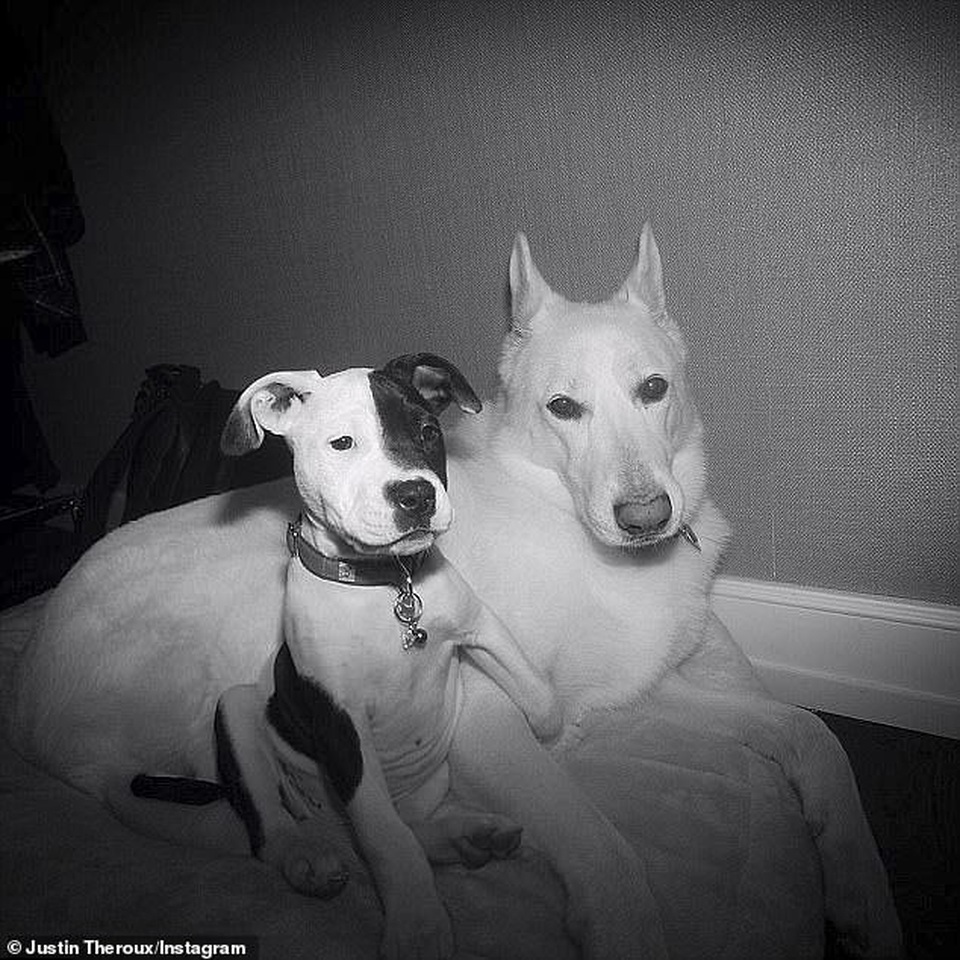 Jennifer Aniston và chồng cũ tái ngộ vì cún cưng - 7 Jennifer Aniston và chồng cũ tái ngộ vì cún cưng - 7