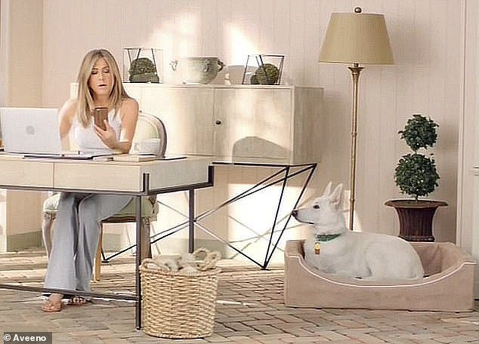 Jennifer Aniston và chồng cũ tái ngộ vì cún cưng - 9 Jennifer Aniston và chồng cũ tái ngộ vì cún cưng - 9