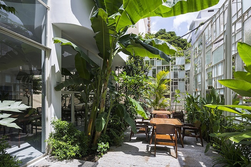 Nhà cũ nát bỗng nguy nga như cung điện trong mơ nhờ kính và cây - 6 Nhà cũ nát bỗng nguy nga như cung điện trong mơ nhờ kính và cây - 6