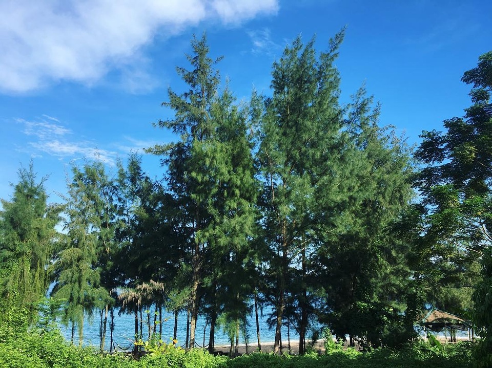 Khám phá đảo Cái Chiên: “Thiên đường bị bỏ quên” ở Quảng Ninh - 3 Khám phá đảo Cái Chiên: “Thiên đường bị bỏ quên” ở Quảng Ninh - 3