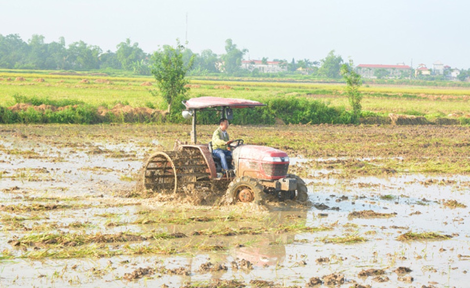 Nhiều nông dân chọn ‘lên đời’ với dòng máy kéo Yanmar - 4 Nhiều nông dân chọn ‘lên đời’ với dòng máy kéo Yanmar - 4