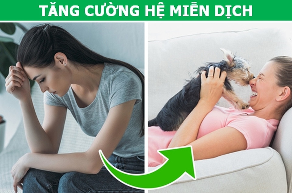 Lợi ích thần kỳ khi cho thêm một muỗng tinh bột nghệ vào sữa - 3 Lợi ích thần kỳ khi cho thêm một muỗng tinh bột nghệ vào sữa - 3