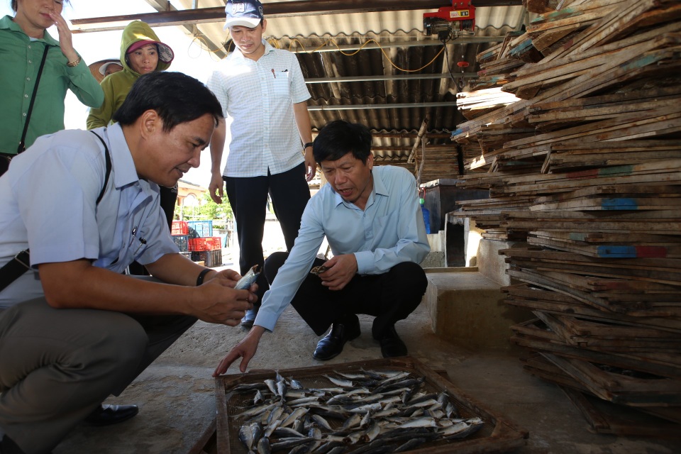 Tồn đọng hơn 1.000 tấn cá khô, người dân “ngồi trên đống lửa”! - 1 Tồn đọng hơn 1.000 tấn cá khô, người dân “ngồi trên đống lửa”! - 1