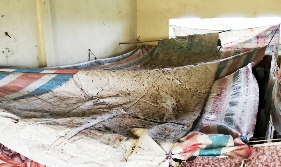 Người đàn bà điếc nửa đời người vẫn đi ở nhờ, nuôi 2 con nhỏ mịt mờ tương lai - 11 Người đàn bà điếc nửa đời người vẫn đi ở nhờ, nuôi 2 con nhỏ mịt mờ tương lai - 11