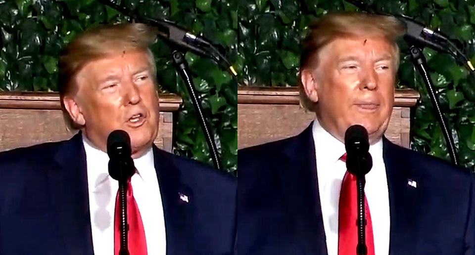 Video ruồi lởn vởn trên trán Tổng thống Trump gây sốt - 1 Video ruồi lởn vởn trên trán Tổng thống Trump gây sốt - 1