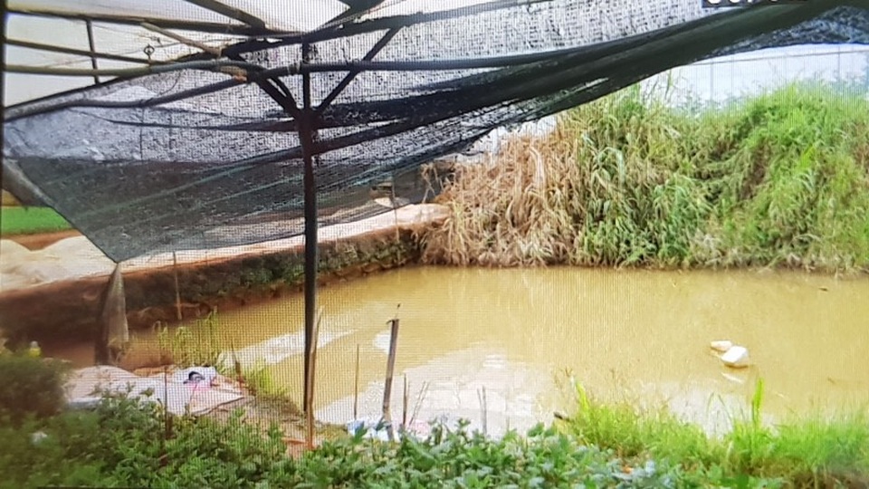 Phát hiện thi thể đôi nam nữ dưới hồ trữ nước tưới - 1 Phát hiện thi thể đôi nam nữ dưới hồ trữ nước tưới - 1