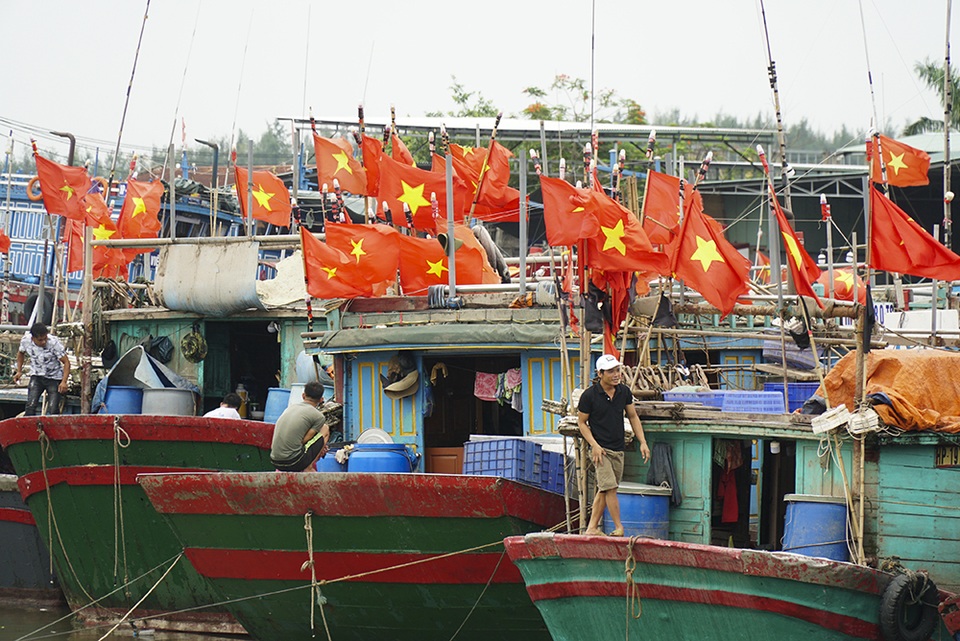 Hải Phòng cấp tập chuẩn bị đối phó bão số 3 đổ bộ - 3