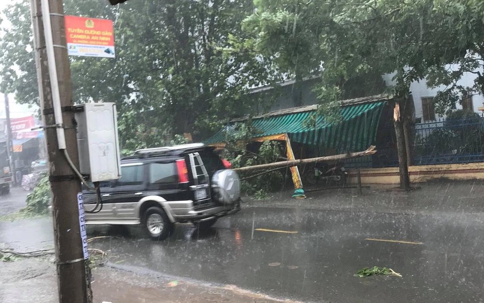 Nhà tốc mái, cây xanh, hàng rào ngã đổ… trong mưa giông kinh hoàng - 1 Nhà tốc mái, cây xanh, hàng rào ngã đổ… trong mưa giông kinh hoàng - 1