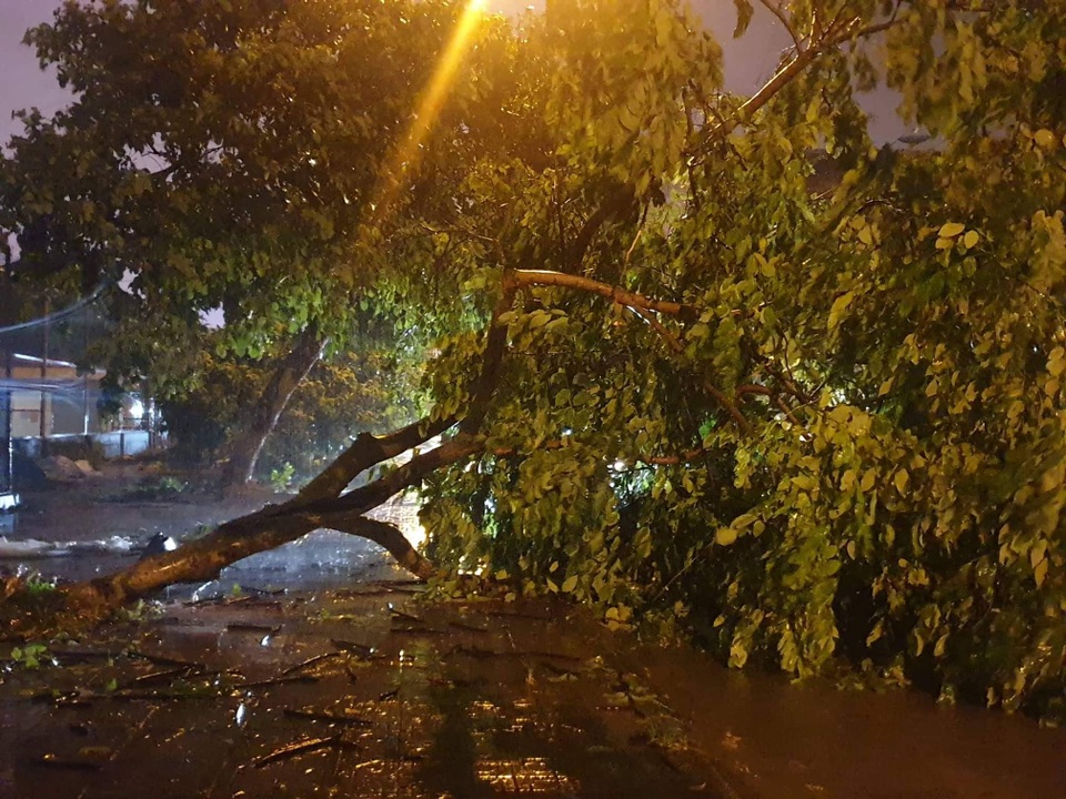Tối muộn (2/8), bão số 3 đổ bộ vào Móng Cái, tâm bão ở phía Đông thành phố - 2 Tối muộn (2/8), bão số 3 đổ bộ vào Móng Cái, tâm bão ở phía Đông thành phố - 2