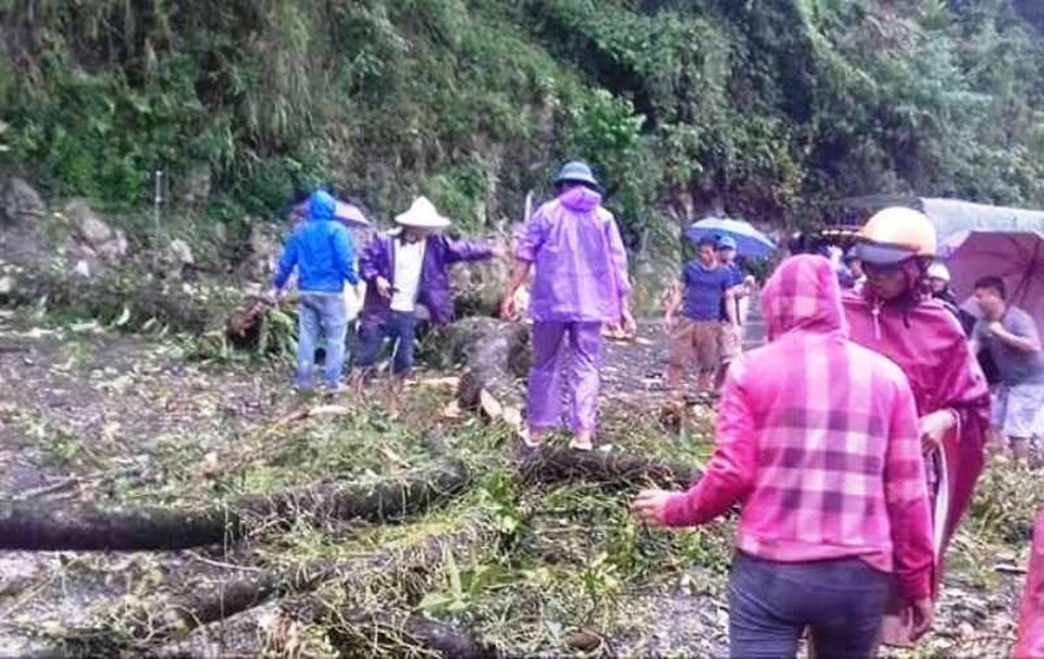 Cây đổ chắn ngang quốc lộ 6, giao thông ùn tắc nhiều giờ - 3