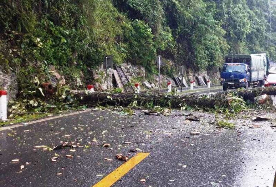 Cây đổ chắn ngang quốc lộ 6, giao thông ùn tắc nhiều giờ - 2