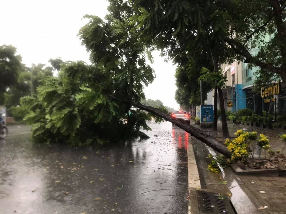 Hà Nội mưa liên tục sau bão, cây xanh gãy đổ ở nhiều nơi - 11 Hà Nội mưa liên tục sau bão, cây xanh gãy đổ ở nhiều nơi - 11