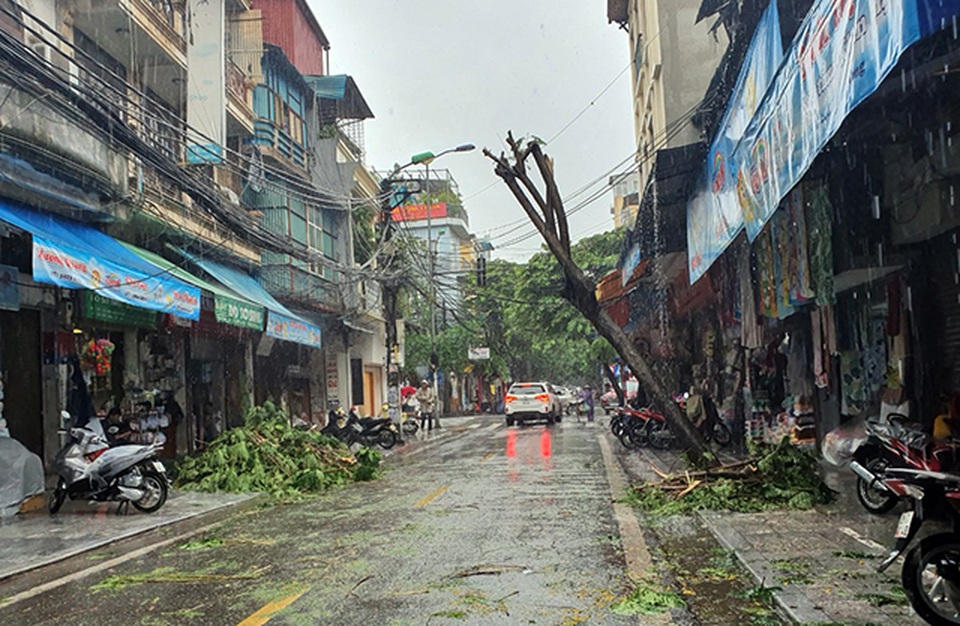 Hà Nội mưa liên tục sau bão, cây xanh gãy đổ ở nhiều nơi - 6 Hà Nội mưa liên tục sau bão, cây xanh gãy đổ ở nhiều nơi - 6
