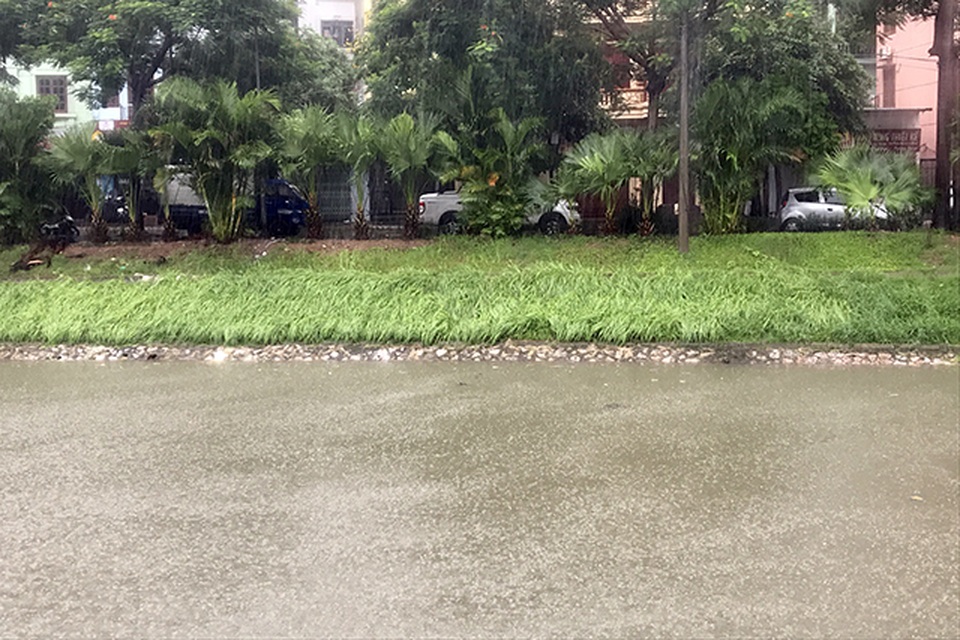 Khu thí nghiệm công nghệ Nhật làm sạch sông Tô Lịch lại chìm trong nước - 6 Khu thí nghiệm công nghệ Nhật làm sạch sông Tô Lịch lại chìm trong nước - 6