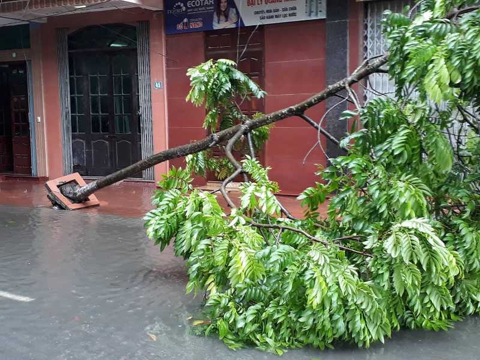 Sau bão, nhiều tuyến đường Thái Bình chìm trong nước - 6 Sau bão, nhiều tuyến đường Thái Bình chìm trong nước - 6
