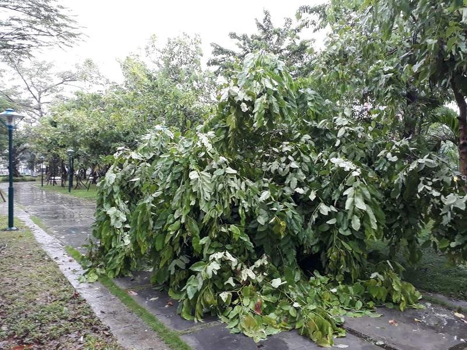 Sau bão, nhiều tuyến đường Thái Bình chìm trong nước - 8 Sau bão, nhiều tuyến đường Thái Bình chìm trong nước - 8
