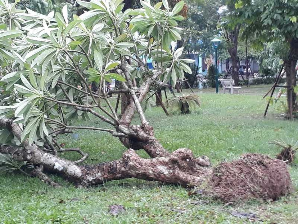 Sau bão, nhiều tuyến đường Thái Bình chìm trong nước - 7 Sau bão, nhiều tuyến đường Thái Bình chìm trong nước - 7