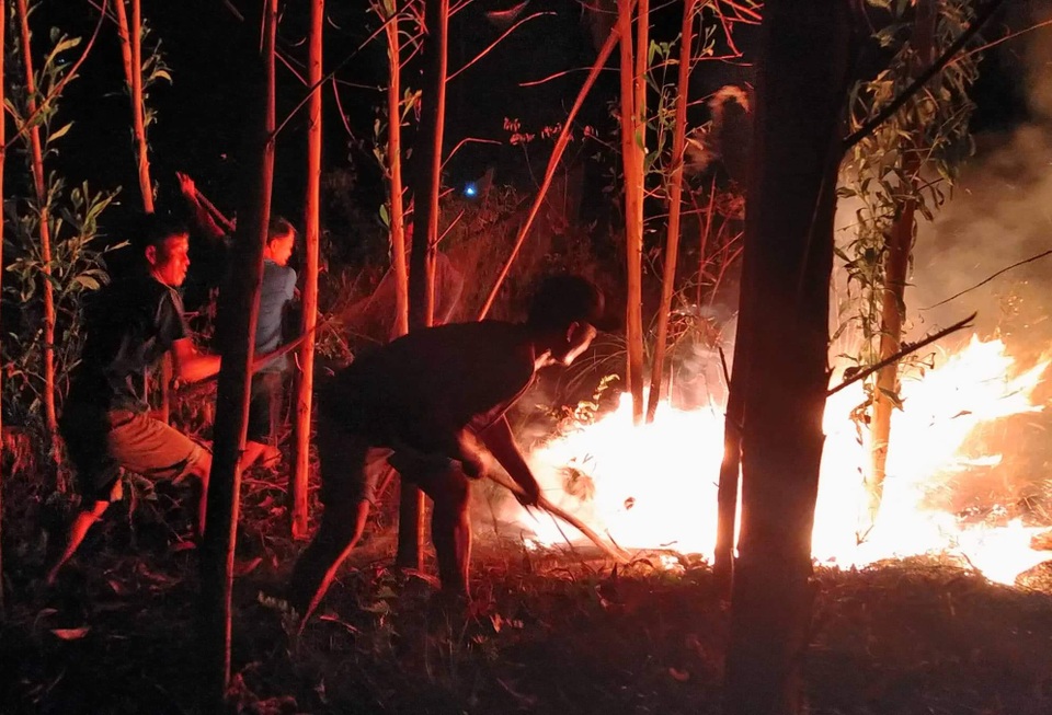 Dân làng tự chữa cháy, thắng “giặc lửa” trong đêm ở khu rừng keo - 7