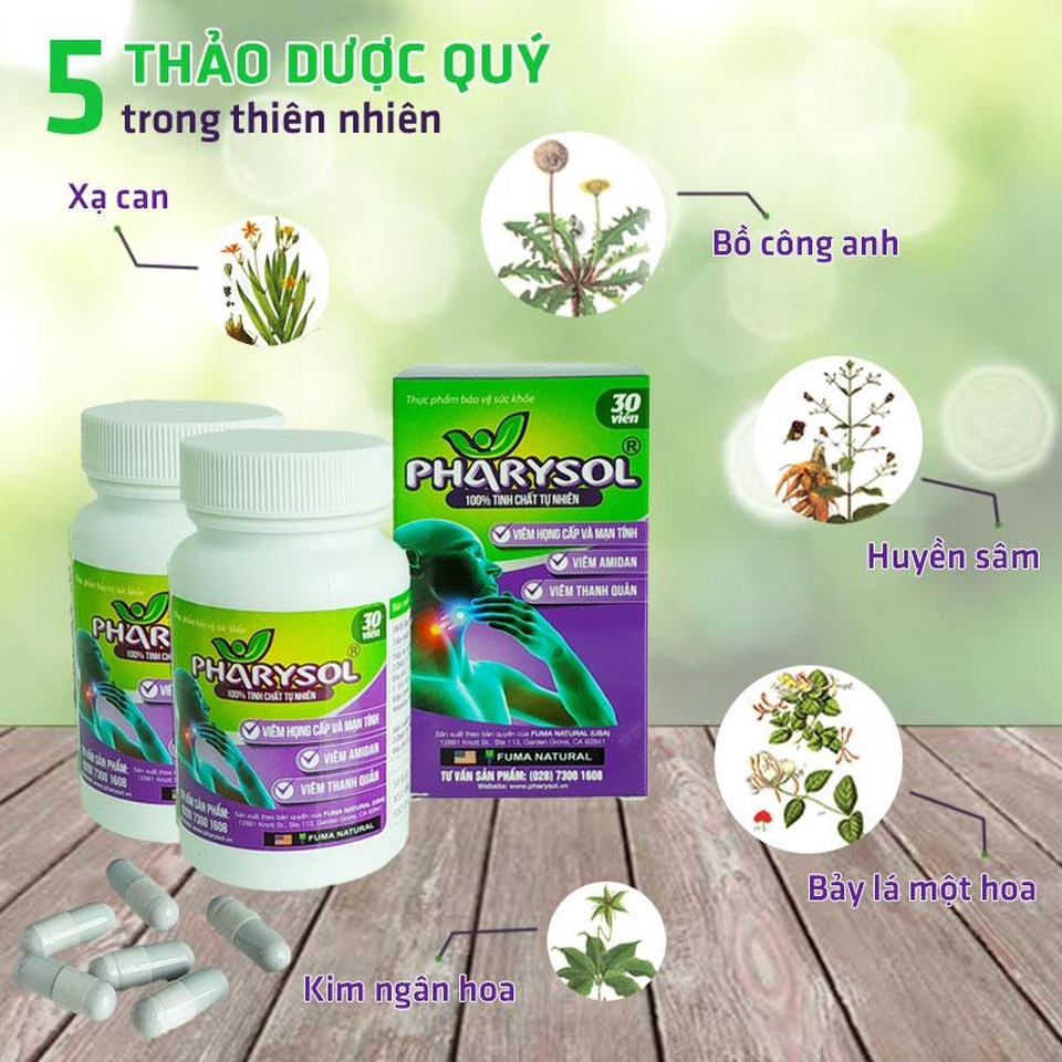 Top 5 thảo dược hỗ trợ chữa viêm họng amidan hiệu nghiệm - 6 Top 5 thảo dược hỗ trợ chữa viêm họng amidan hiệu nghiệm - 6