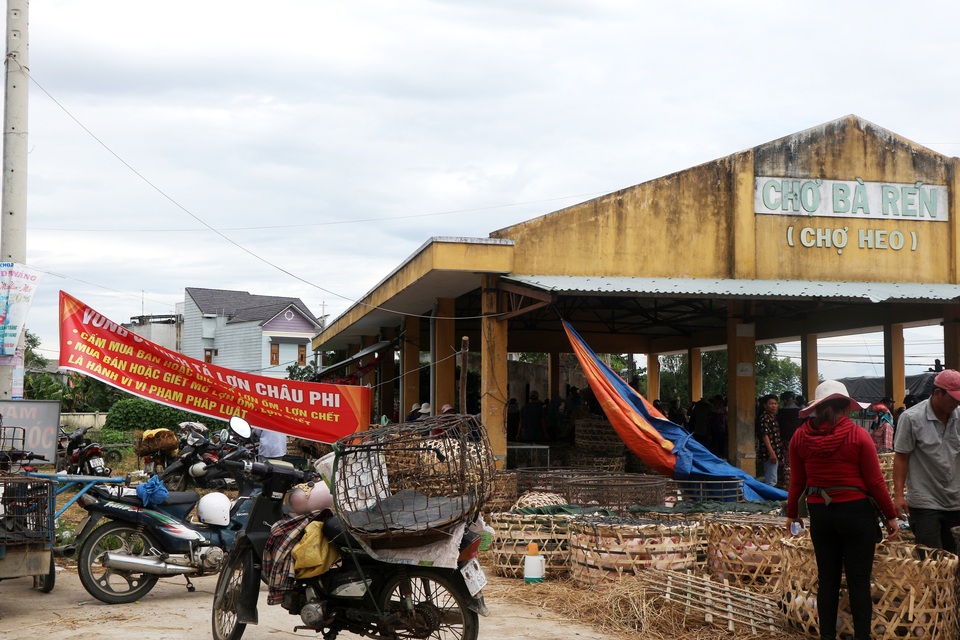 Kiểm soát chặt chẽ chợ đầu mối khi dịch tả lợn Châu Phi lan rộng - 1 Kiểm soát chặt chẽ chợ đầu mối khi dịch tả lợn Châu Phi lan rộng - 1