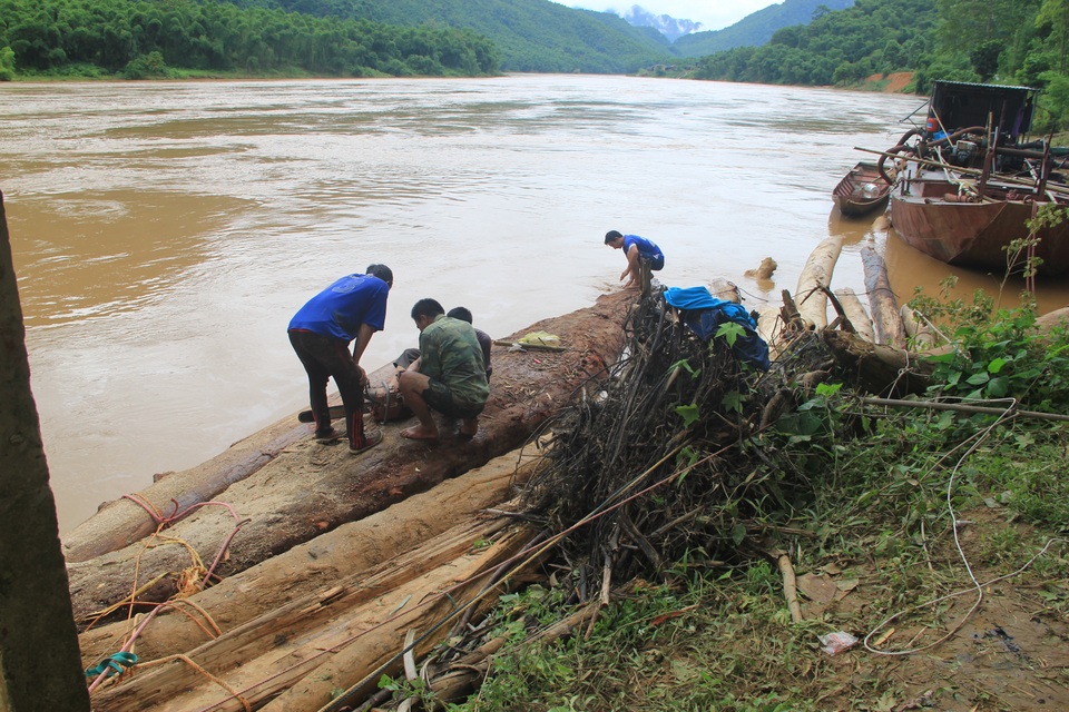 Liều mình vớt gỗ trong lũ dữ - 2 Liều mình vớt gỗ trong lũ dữ - 2