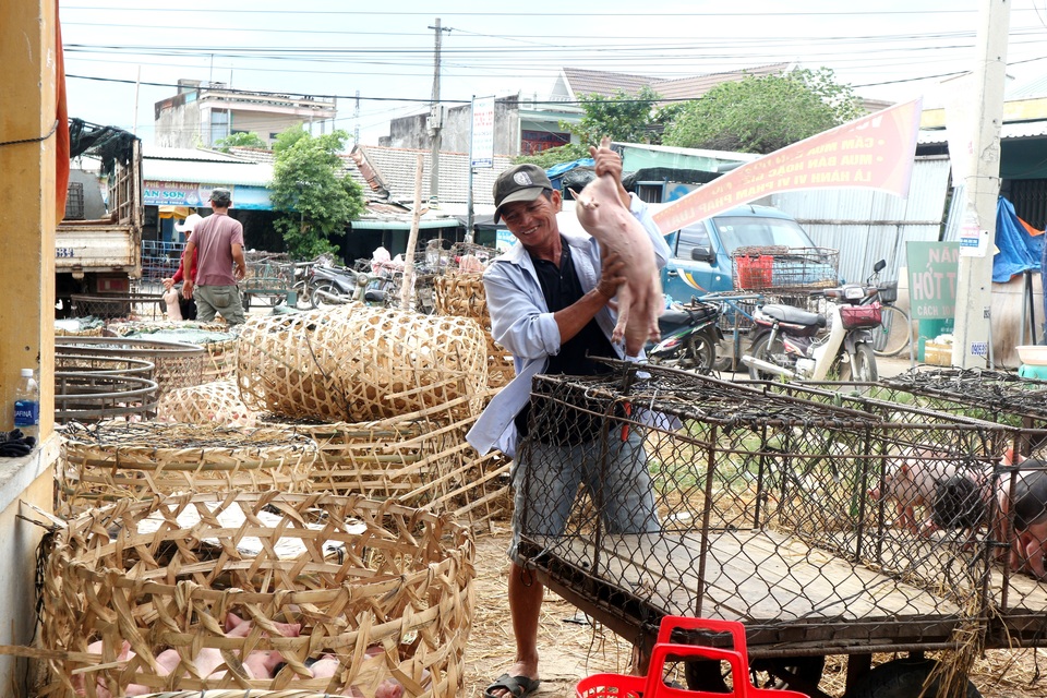 Kiểm soát chặt chẽ chợ đầu mối khi dịch tả lợn Châu Phi lan rộng - 2 Kiểm soát chặt chẽ chợ đầu mối khi dịch tả lợn Châu Phi lan rộng - 2