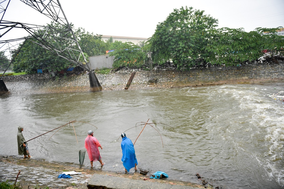 Hà Nội: Cất lưới, buông cần câu cá trên sông Kim Ngưu sau mưa lớn - 7 Hà Nội: Cất lưới, buông cần câu cá trên sông Kim Ngưu sau mưa lớn - 7
