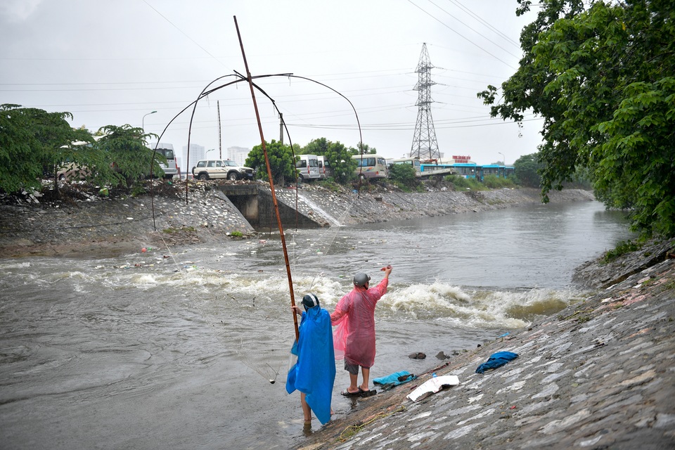Hà Nội: Cất lưới, buông cần câu cá trên sông Kim Ngưu sau mưa lớn - 6 Hà Nội: Cất lưới, buông cần câu cá trên sông Kim Ngưu sau mưa lớn - 6