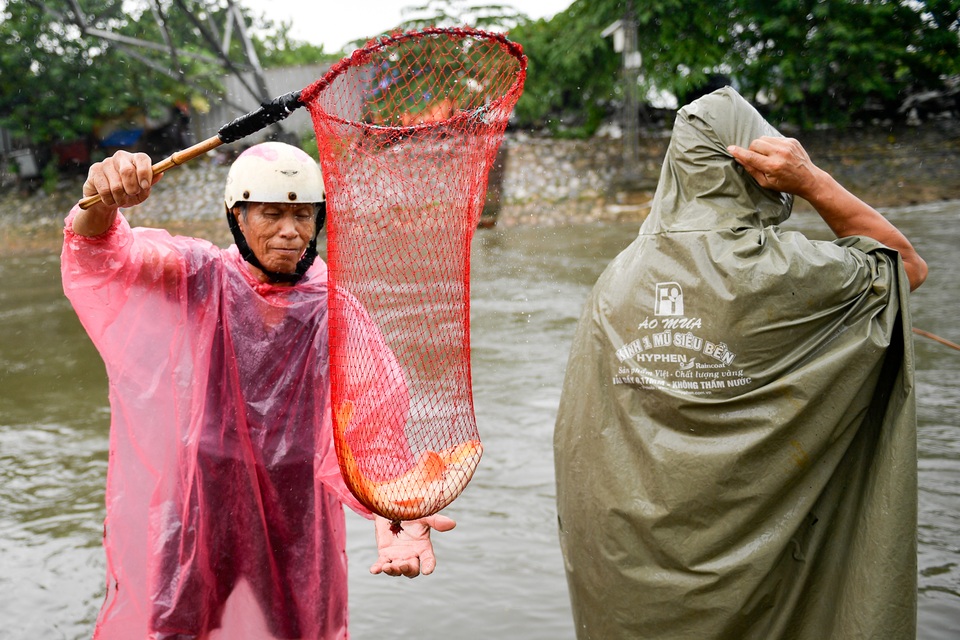 Hà Nội: Cất lưới, buông cần câu cá trên sông Kim Ngưu sau mưa lớn - 3 Hà Nội: Cất lưới, buông cần câu cá trên sông Kim Ngưu sau mưa lớn - 3