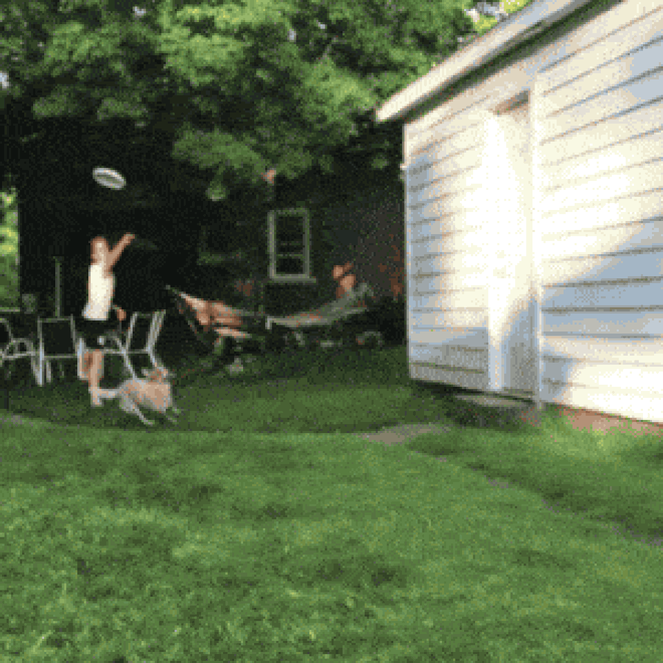 “Cười thả ga” trong ngày đầu tuần với chùm ảnh động siêu hài hước - 4 “Cười thả ga” trong ngày đầu tuần với chùm ảnh động siêu hài hước - 4