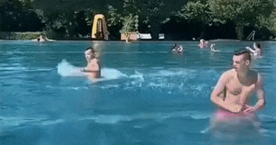 “Cười thả ga” trong ngày đầu tuần với chùm ảnh động siêu hài hước - 8 “Cười thả ga” trong ngày đầu tuần với chùm ảnh động siêu hài hước - 8