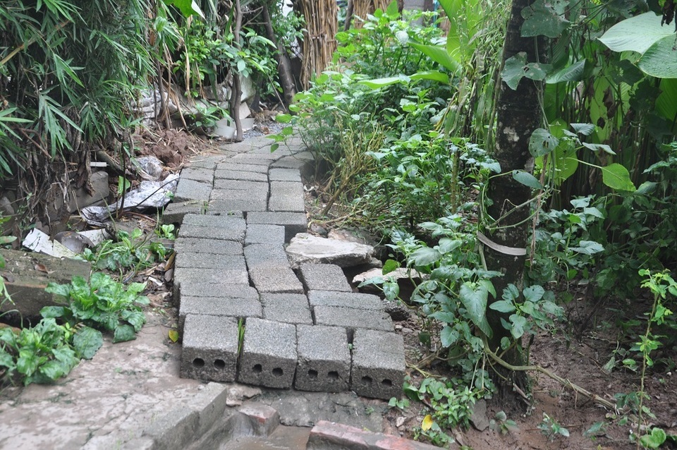Quặn lòng 2 bà cụ nuôi nhau trong cảnh đói nghèo, không ai nương tựa - 3 Quặn lòng 2 bà cụ nuôi nhau trong cảnh đói nghèo, không ai nương tựa - 3