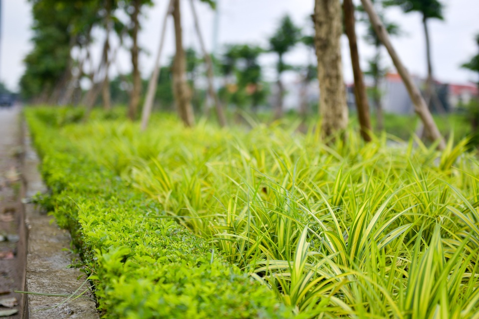 Hà Nội: Đường nối cầu Nhật Tân, Thăng Long hơn 5 năm dang dở - 9 Hà Nội: Đường nối cầu Nhật Tân, Thăng Long hơn 5 năm dang dở - 9