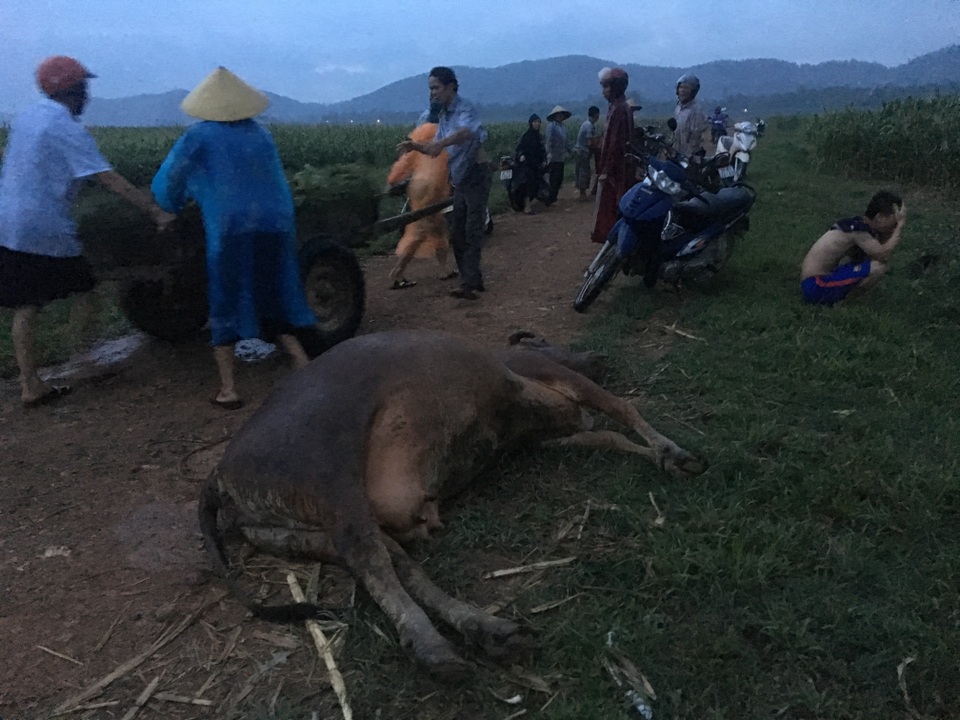 Đi làm đồng về, cụ bà bị sét đánh tử vong - 1 Đi làm đồng về, cụ bà bị sét đánh tử vong - 1