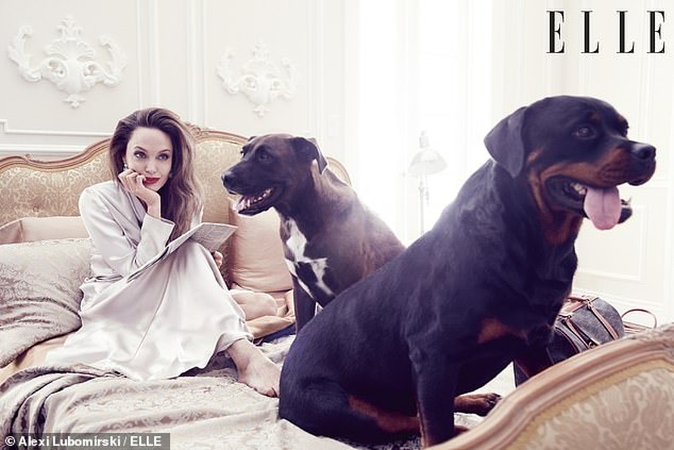 Angelina Jolie muốn có thật nhiều “phụ nữ tinh quái” trên thế giới - 2 Angelina Jolie muốn có thật nhiều “phụ nữ tinh quái” trên thế giới - 2