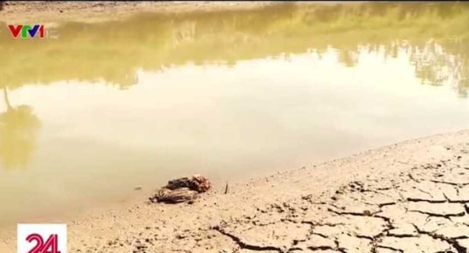 Sông Đào ô nhiễm, chủ tịch tỉnh truy trách nhiệm nhà máy nước - 1 Sông Đào ô nhiễm, chủ tịch tỉnh truy trách nhiệm nhà máy nước - 1