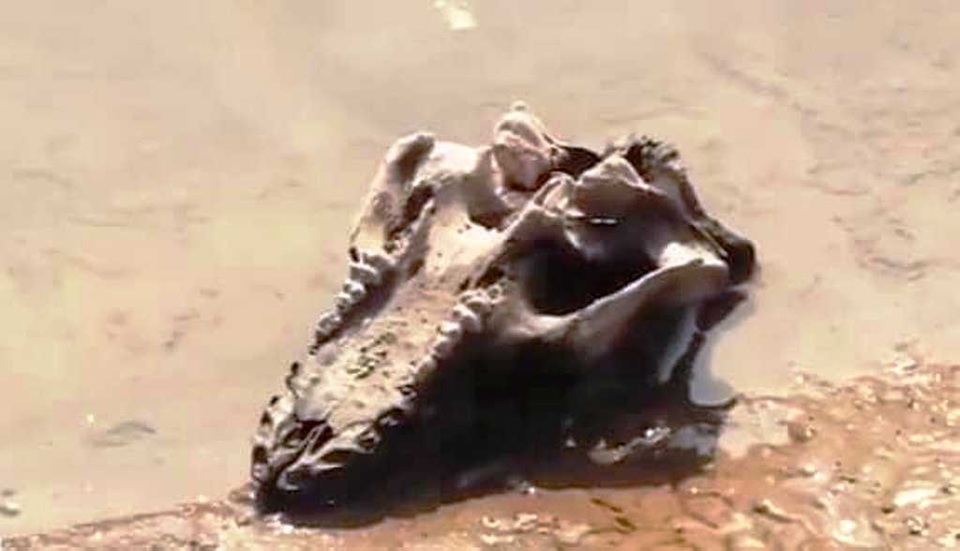 Sông Đào ô nhiễm, chủ tịch tỉnh truy trách nhiệm nhà máy nước - 3 Sông Đào ô nhiễm, chủ tịch tỉnh truy trách nhiệm nhà máy nước - 3