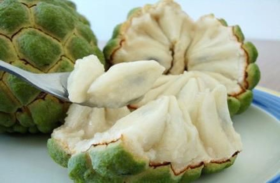 Những người có bệnh này cần kiêng ăn na để bảo vệ sức khỏe - 1 Những người có bệnh này cần kiêng ăn na để bảo vệ sức khỏe - 1