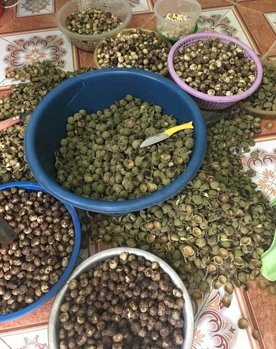 Quả rừng lạ về Hà Thành, đặc sản màu đen nấu bát canh mất 1 tiếng - 3 Quả rừng lạ về Hà Thành, đặc sản màu đen nấu bát canh mất 1 tiếng - 3