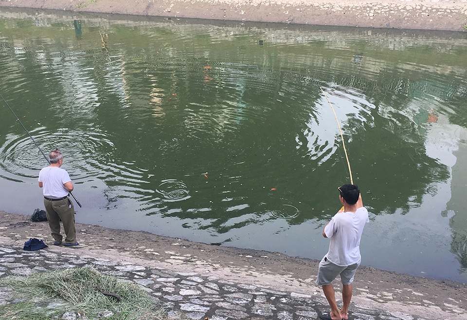 Dân câu kiếm cá sông Tô Lịch dễ như đi chơi - 4 Dân câu kiếm cá sông Tô Lịch dễ như đi chơi - 4